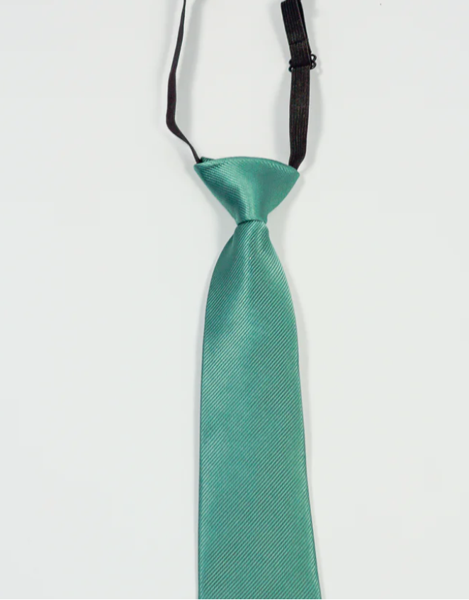 Charles Grey Sage Junior tie