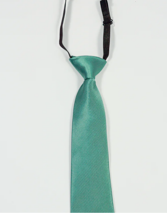 Charles Grey Sage Junior tie