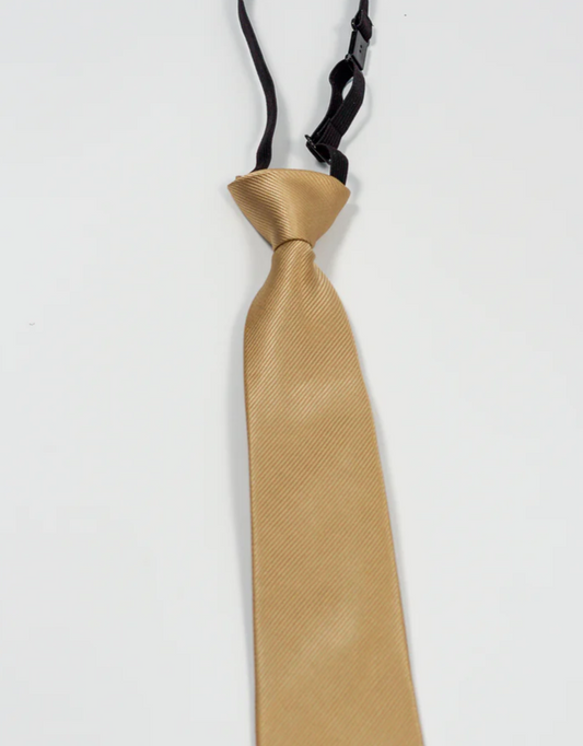Charles Grey Champagne Junior tie
