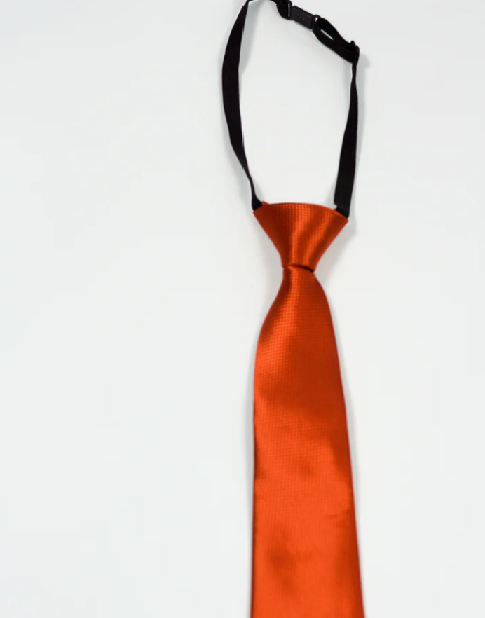 Charles Grey Rust Junior tie