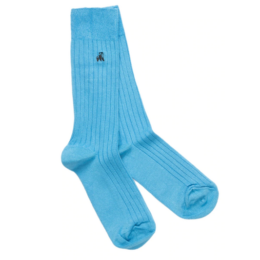 Sky Blue Socks by Swole Panda