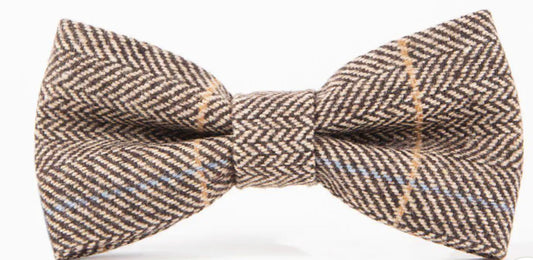 Ted Bow Tie by Marc Darcy